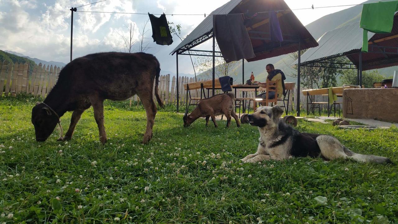 Guesthouse Angelina Usguli Kültér fotó